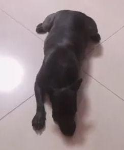 yy女主播相互爆料视频,相互爆料视频背后的真相